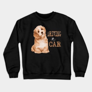 Dogs driving a CAR Crewneck Sweatshirt